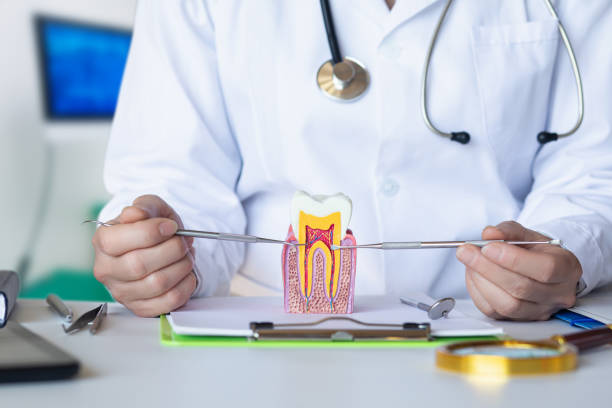 Best Pediatric Emergency Dentist in Gun Barrel City, TX